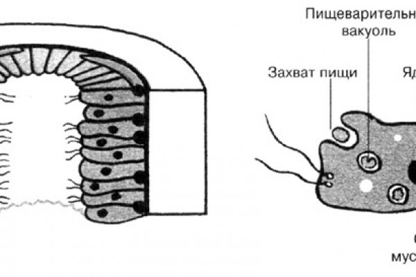 Omg даркнет