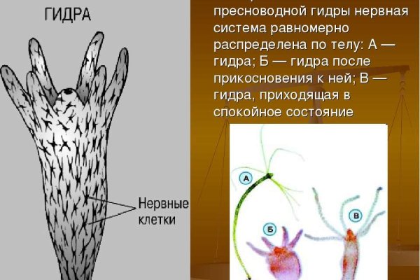 Сайт омг тор